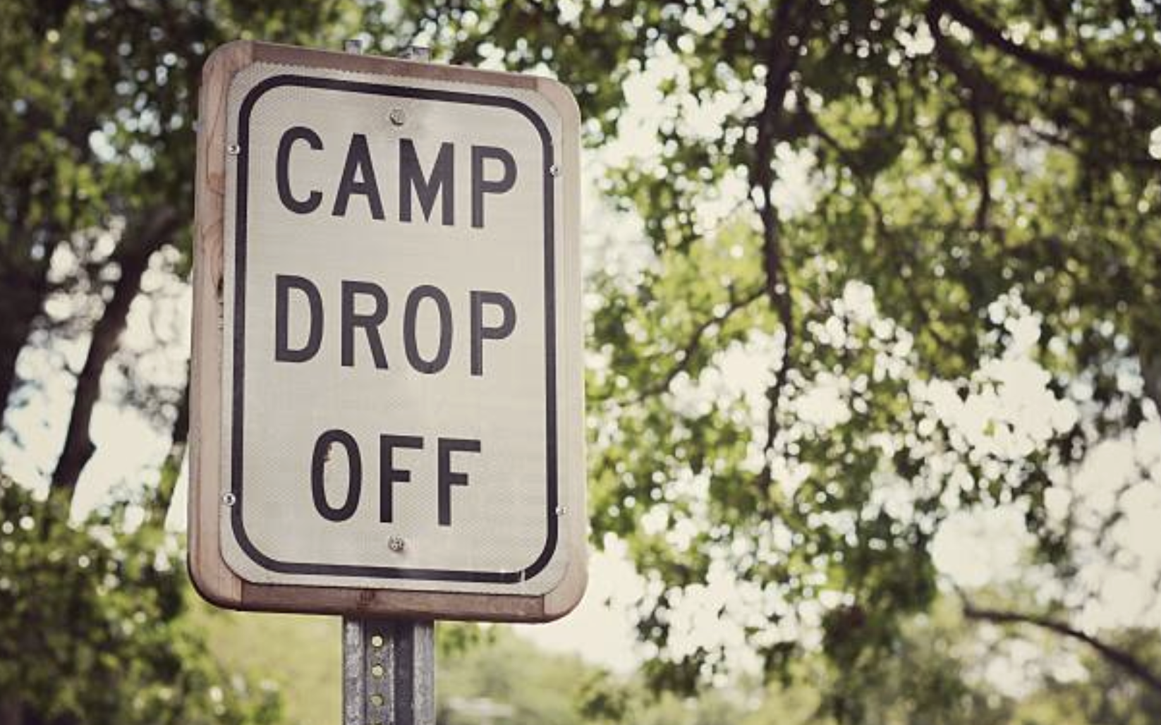 The Proper Level of Enthusiasm for a Parent During Camp Dropoff - McSweeney’s Internet Tendency
