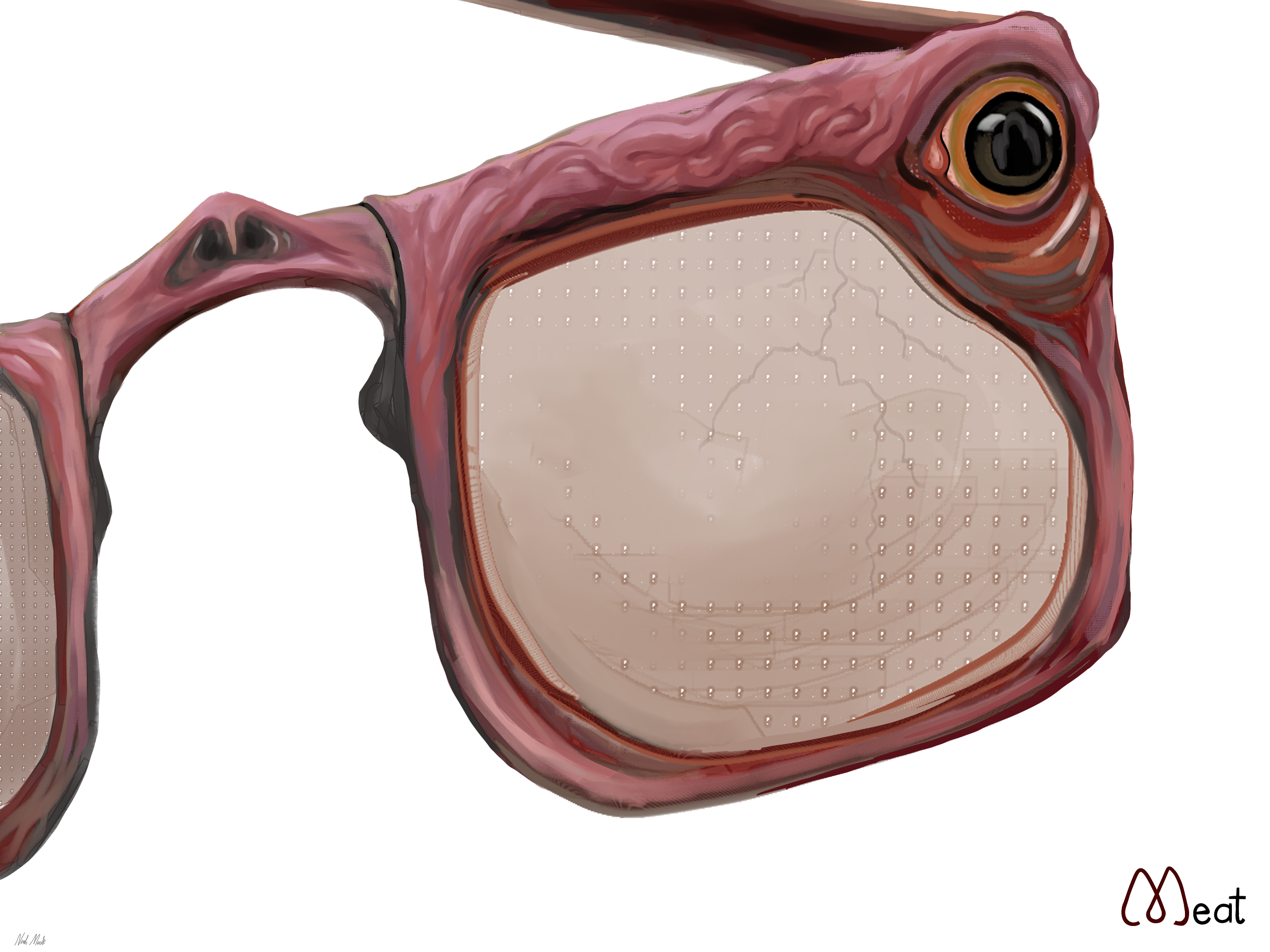 All the Things My New Meat Glasses Can Do - McSweeney’s Internet Tendency
