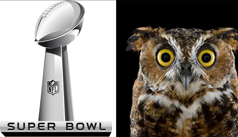 Words That Could Conceivably Be Used to Describe Both the Super Bowl ...