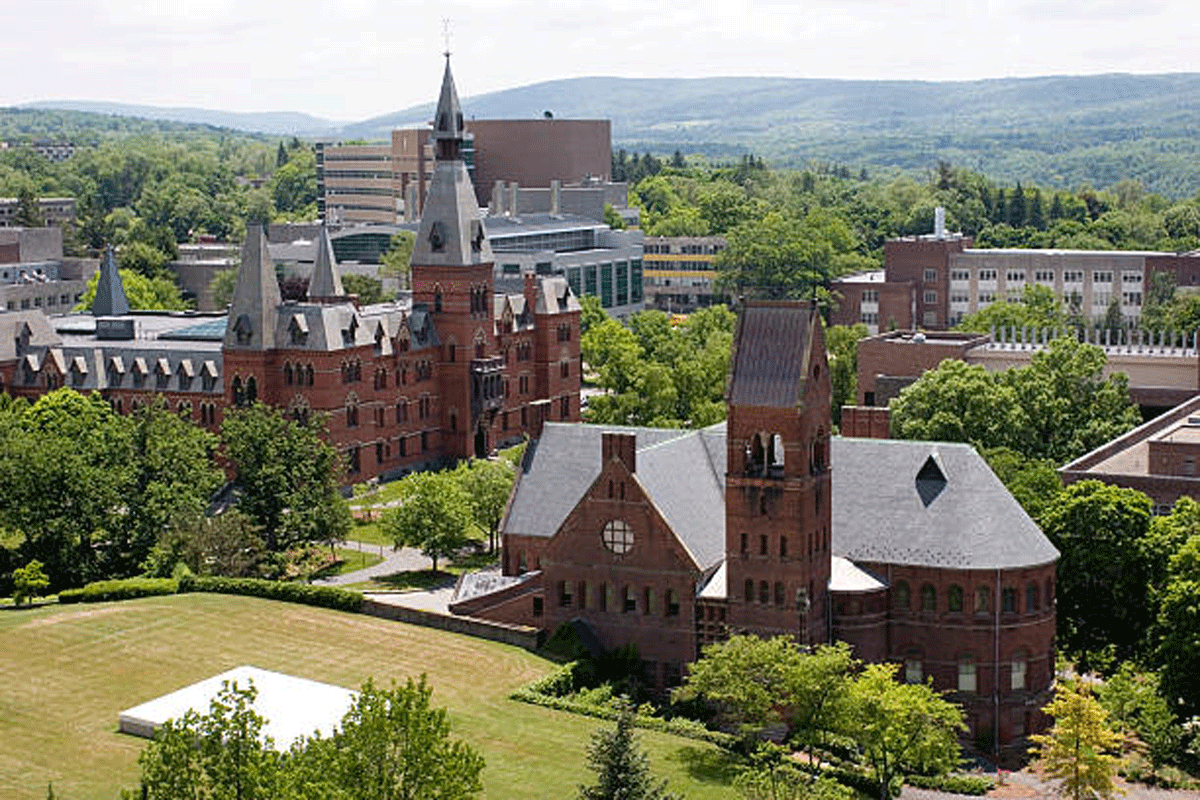An Open Letter to Cornell University from the Mother of a Prospective Male Student - McSweeney’s Internet Tendency
