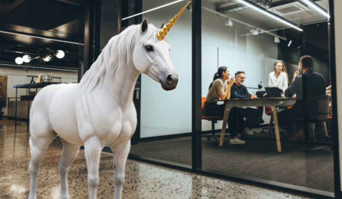 We’re Looking for a Unicorn