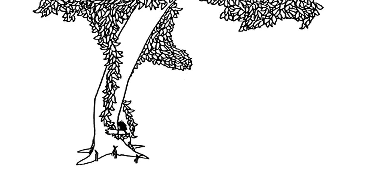 The Giving Tree Gets Real - McSweeney’s Internet Tendency