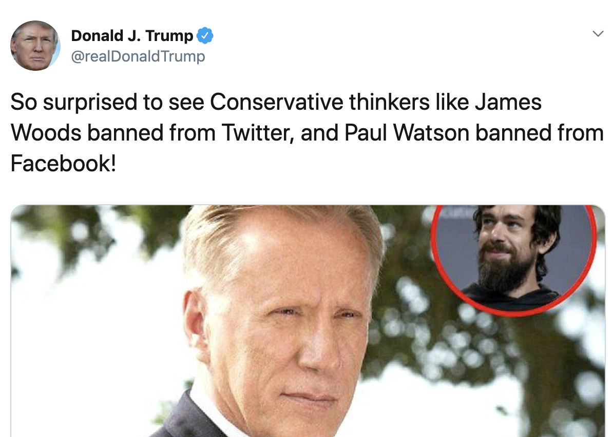Why Are Conservative Thinkers Like Me Being Banned From Social Media ...