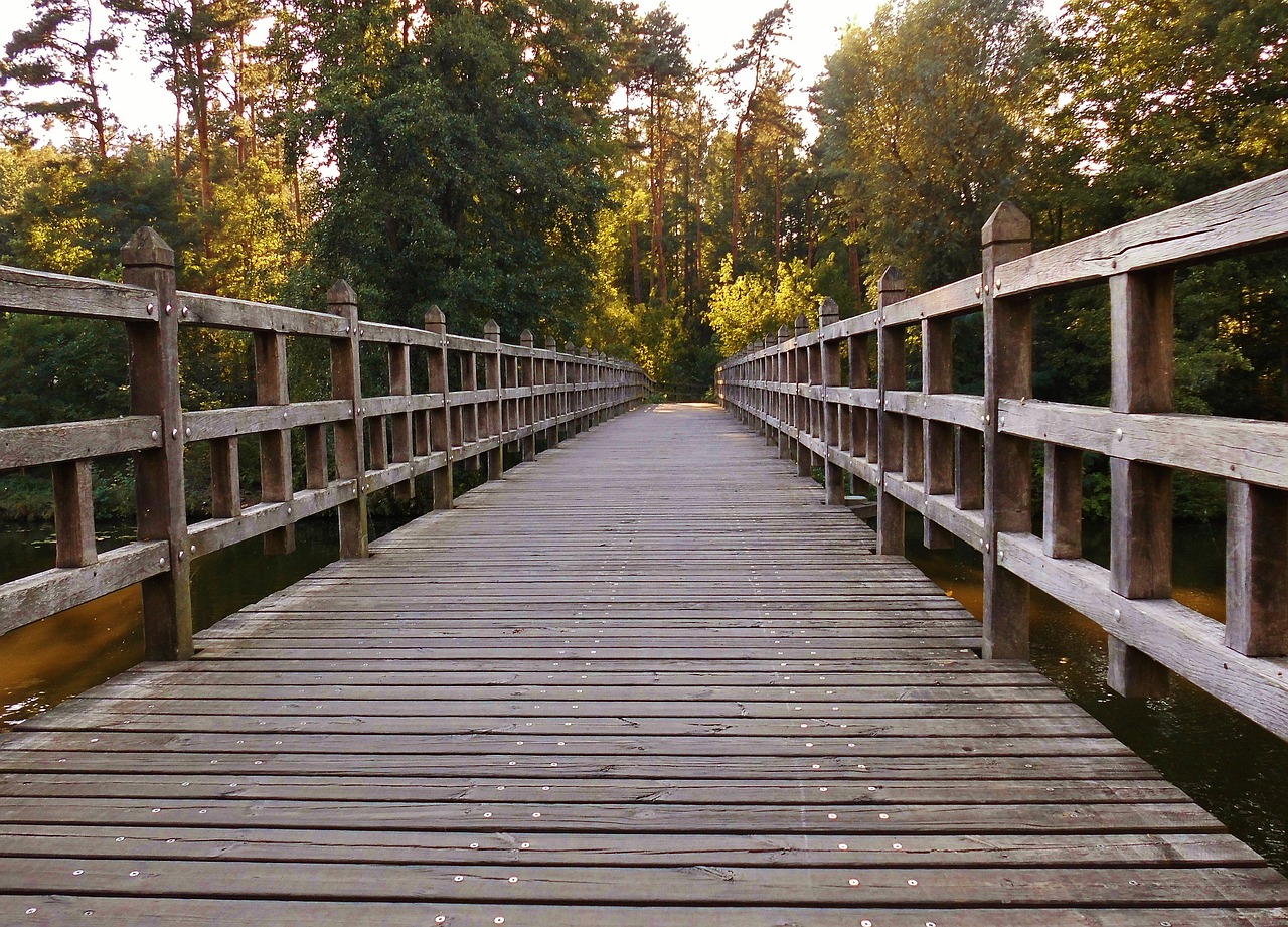 Bridge Metaphors Used During the English Department Meeting With the ...
