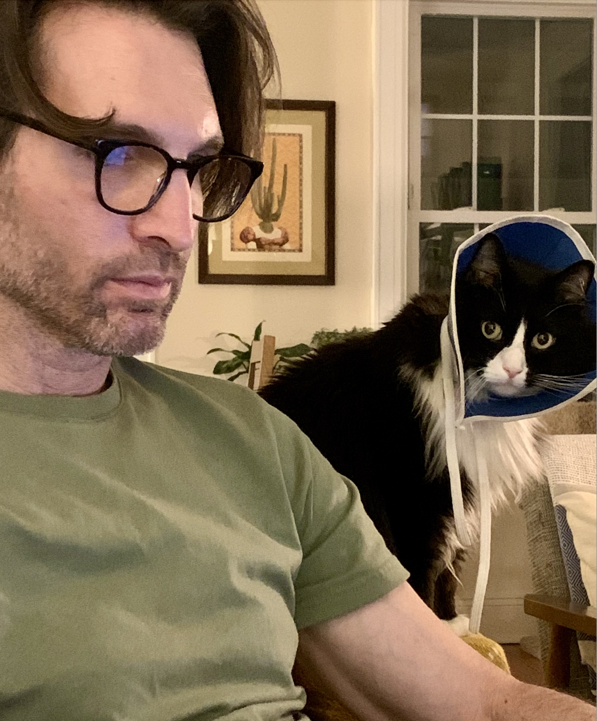 Michael Sendrow - McSweeney’s Internet Tendency