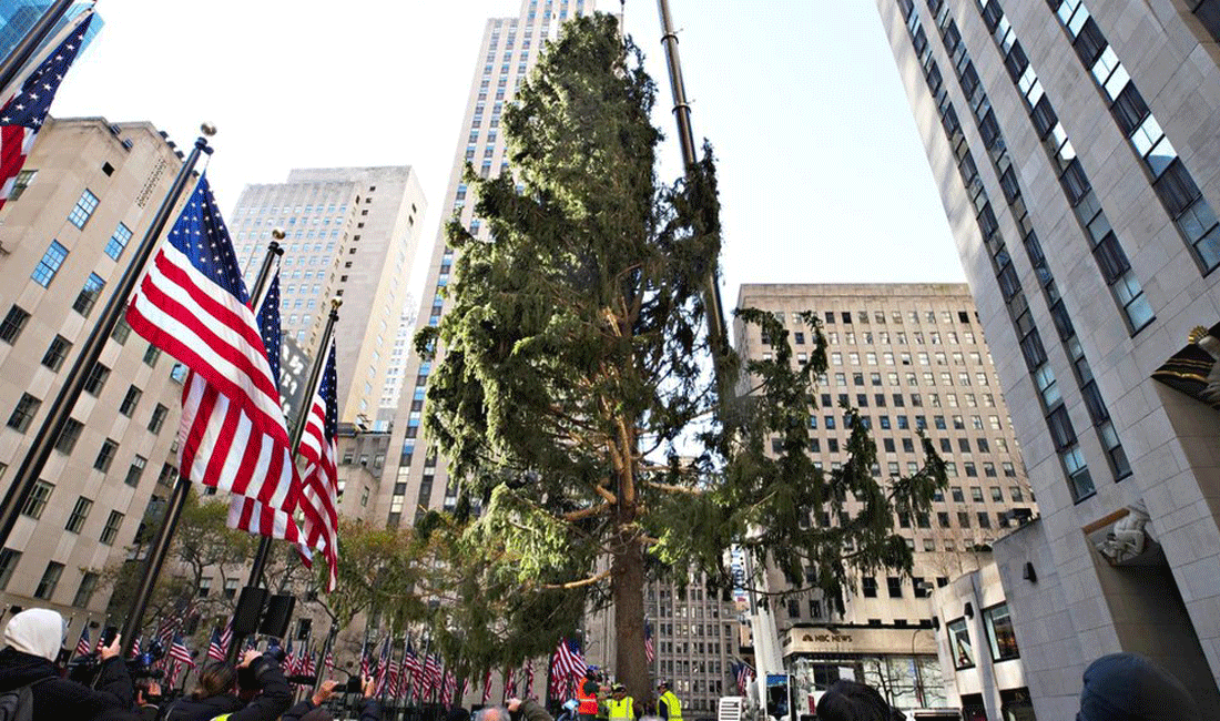 The 2020 Rockefeller Center Tree Speaks - McSweeney’s Internet Tendency
